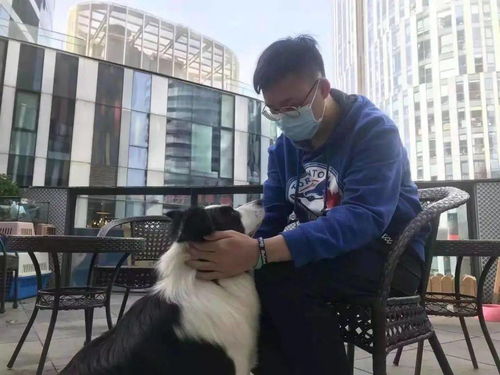 一生负气成今日，一骑白马开吴疆——会计学院排球队挺进决赛