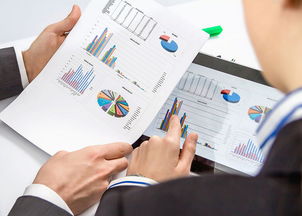 初级会计职称考试及审计、税务服务报考答疑